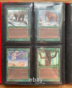 MTG Vintage Sammlung