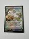 MTG Windswept Heath Battle for Zendikar Expeditions 020/045 Foil Mythic