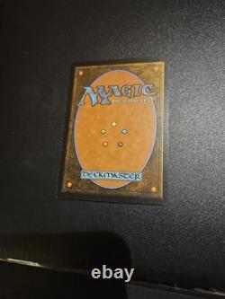 Magic The Gathering 2025 Swamp Foil Nm Never Played Free Shipping