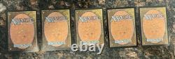 Magic The Gathering Gilded Drake, Annul, (2) Tinker, Back To Basics MTG Cards
