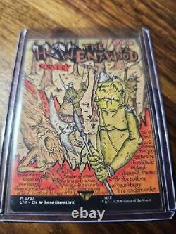 Magic The Gathering LOTR 6 Borderless Poster Lot, 2 Foil All NM