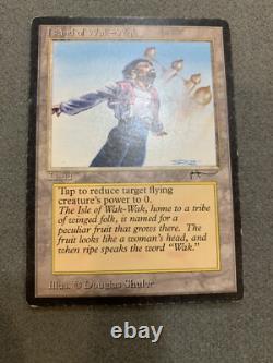 Magic The Gathering MTG Arabian Nights Island of Wak-Wak Moderately Played/MP-L
