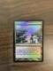 Magic The Gathering Polluted Delta DCI Promo