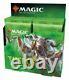 Magic The Gathering Theros Beyond Death Collectors Booster Box