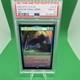 Magic The Gathering Wan Shi Tong, Librarian 78 Avatar Foil PSA 10