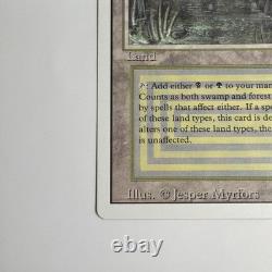 Magic the Gathering 1994 Bayou Revised Edition Rare Dual Land English LP