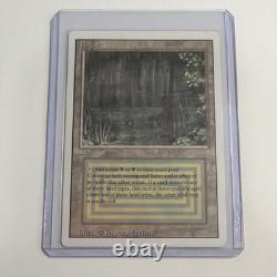 Magic the Gathering 1994 Bayou Revised Edition Rare Dual Land English LP