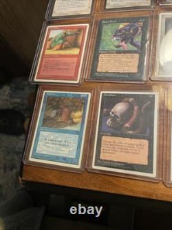 Magic the Gathering 900 Plus Cards