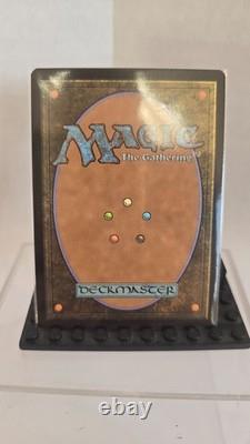 Magic the Gathering Verdant Catacombs Zendikar Expeditions Foil