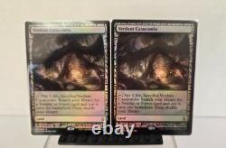 Magic the Gathering Verdant Catacombs Zendikar Expeditions Foil