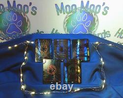 Oil Slick Foil Basic Land Set 10 Magic The Gathering Land Pack Near Mint MTG