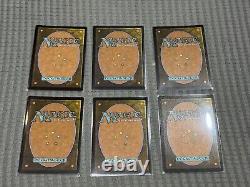 SET OF 6 FOIL MTG 2025 Year Of The Snake Promo NM English