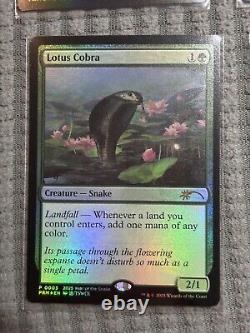 SET OF 6 FOIL MTG 2025 Year Of The Snake Promo NM English