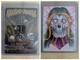 Secret Lair Anguished Unmaking Magic MtG Artist Proof With Sketch On Back