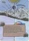 Taiga Magic the Gathering Revised Hand Painted Altered Art by LS