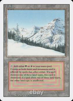 Taiga Revised Edition Magic MTG