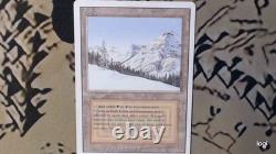 Taiga Revised Edition Regular