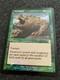 Terravore Odyssey Foil