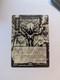 Vampiric Tutor (JP Alternate Art) Secrets of Strixhaven Regular